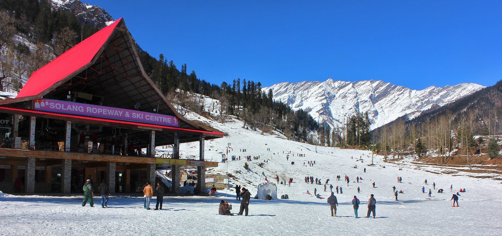 Shimla View