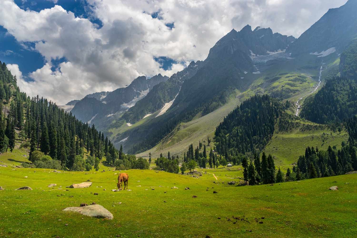 Gulmarg